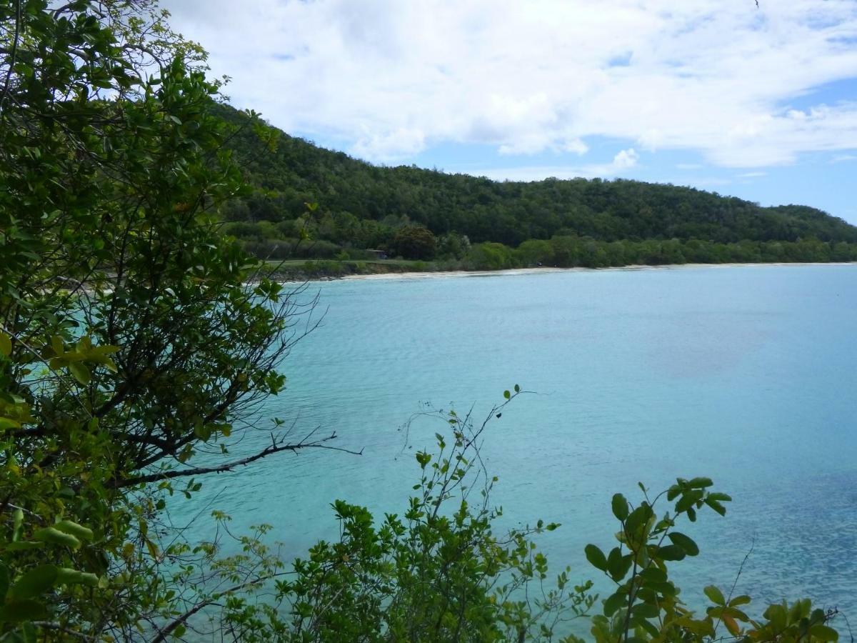 Les Gites Kajou Bouillante Exterior photo